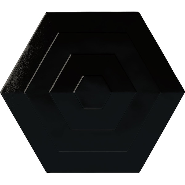 Ekena Millwork Woodruff Ceiling Medallion, Hand-Painted Black Pearl, 23 1/4"OD x 7/8"P CM23WFBPS - main